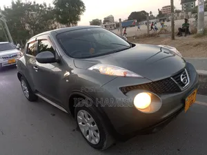 Nissan Juke 2013 Gray