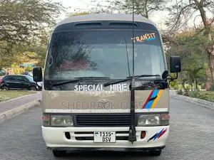 Toyota Coaster 1999 Gold