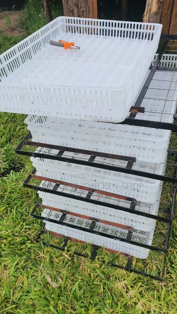 Incubator Hatching Basket Kubwa