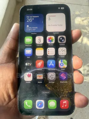 Apple iPhone 13 Pro Max 128 GB Green
