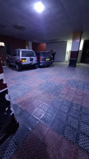 Furnished Mini Flat in Makumbusho Bus Stop, Kijitonyama for rent