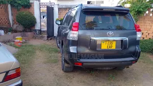 Toyota Land Cruiser Prado 2010 Gray