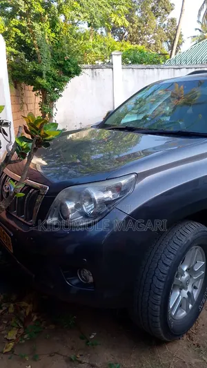 Toyota Land Cruiser Prado 2010 Gray