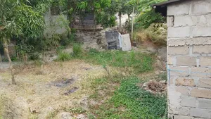 Kiwaja Tabata Kifuru