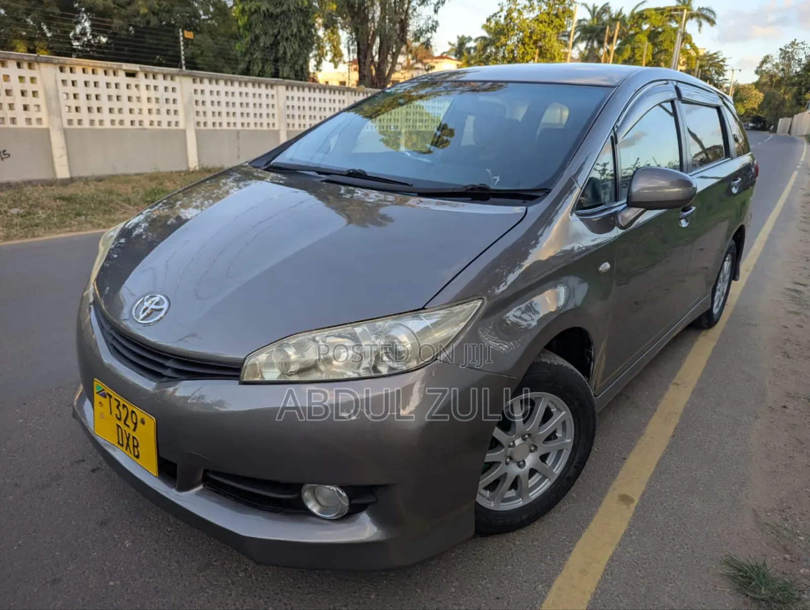 Toyota Wish 2008 Gray