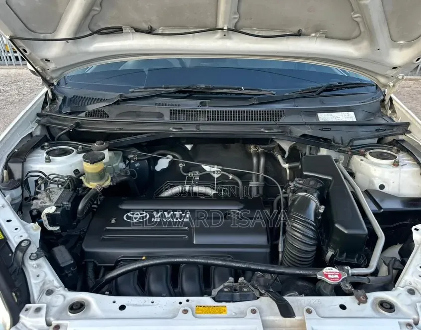Toyota RAV4 2005 Pearl