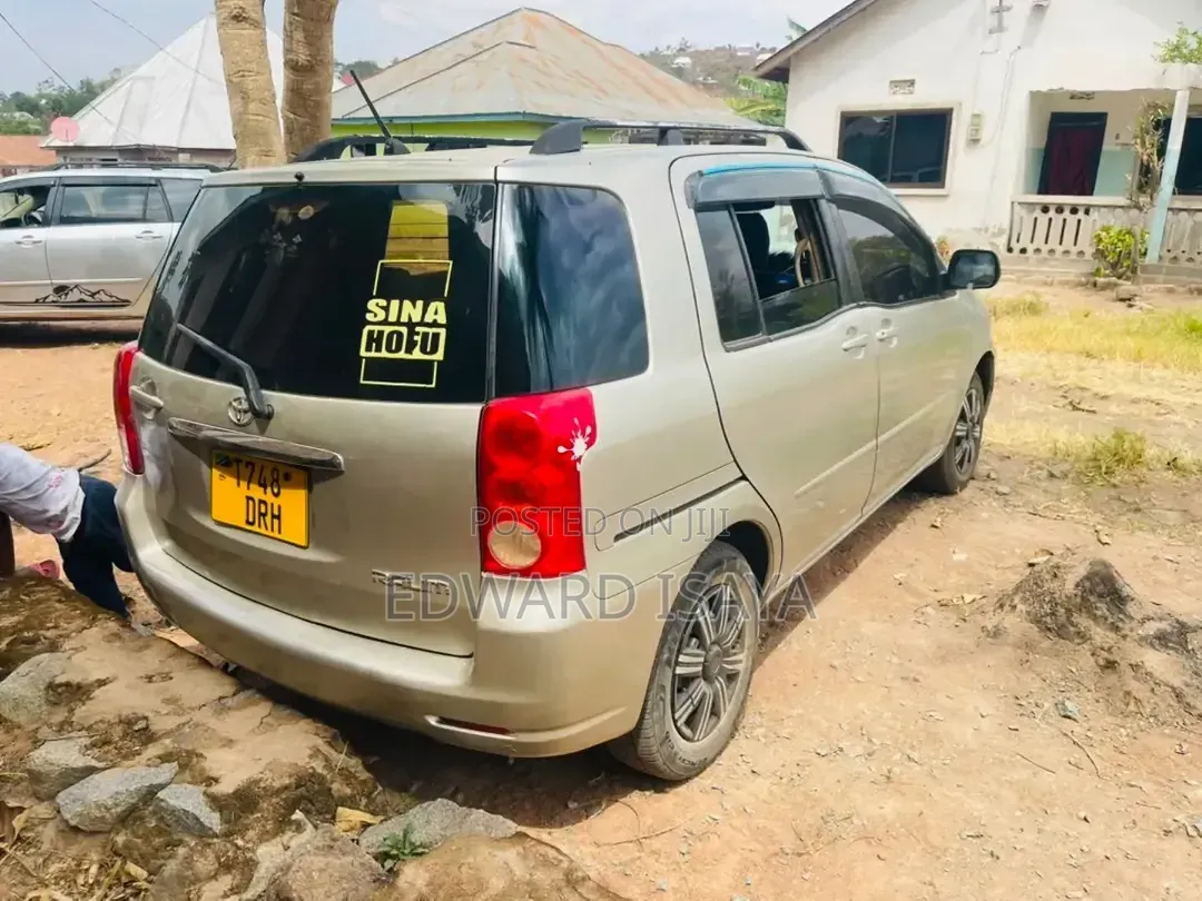 Toyota Raum 2005 Gray