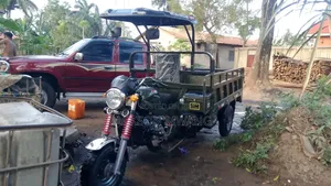 SINORAY SR250-Q7 2026