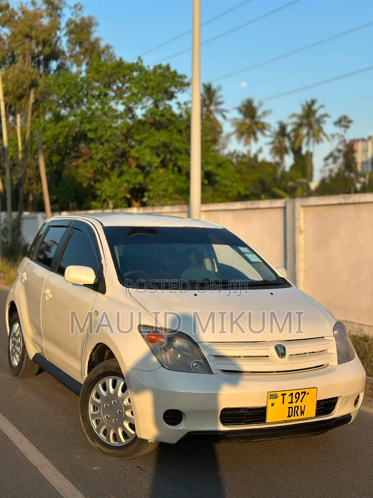 Toyota IST 2005 White