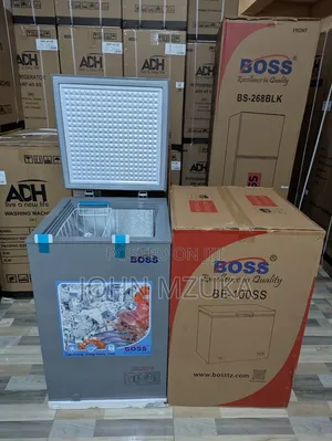 Fridge La Boss Liter 100