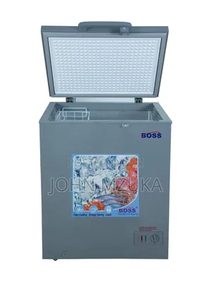 Fridge La Boss Liter 100