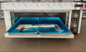 Electric Oven Deck 1 Tray 2