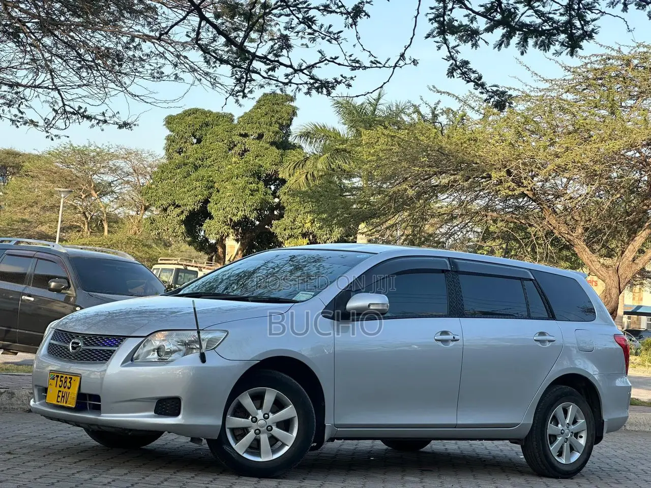 Toyota Corolla Fielder 2009 Silver