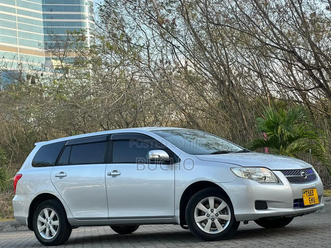Toyota Corolla Fielder 2009 Silver