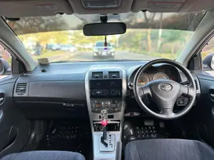 Toyota Corolla Fielder 2009 Silver