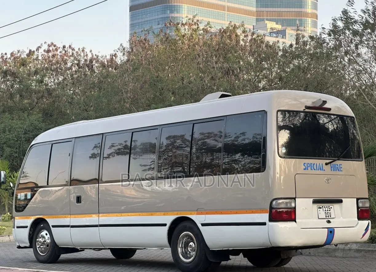 Toyota Coaster 1999 Brown