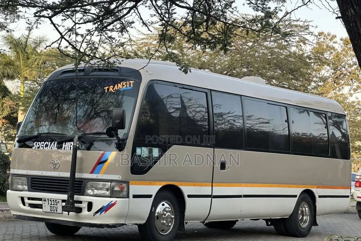 Toyota Coaster 1999 Brown