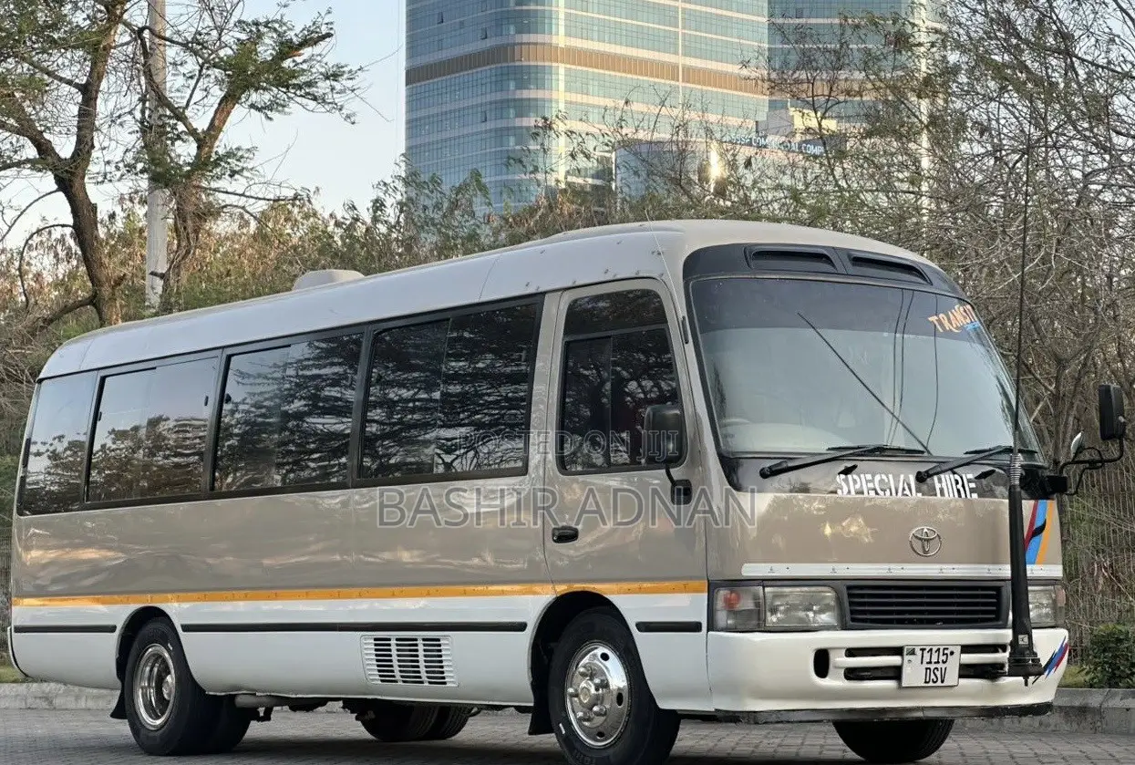 Toyota Coaster 1999 Brown