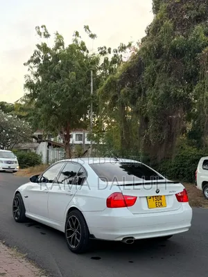 BMW 3 Series 2009 White