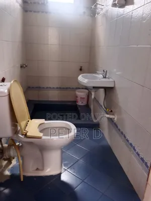 2bdrm Apartment in Mikocheni for rent