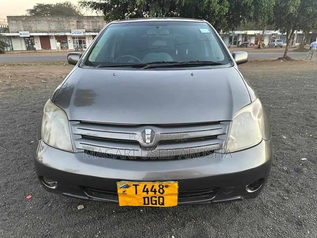Toyota IST 2004 Gray