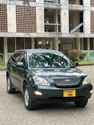 Toyota Harrier 2.4 2006 Gray
