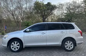 Toyota Corolla Fielder 2007 Silver