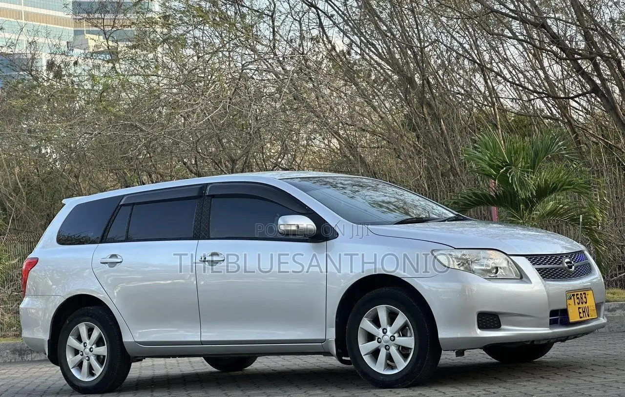 Toyota Corolla Fielder 2007 Silver