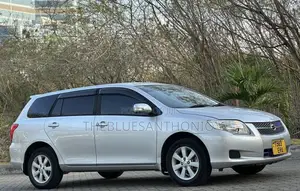 Toyota Corolla Fielder 2007 Silver