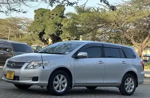 Toyota Corolla Fielder 2007 Silver