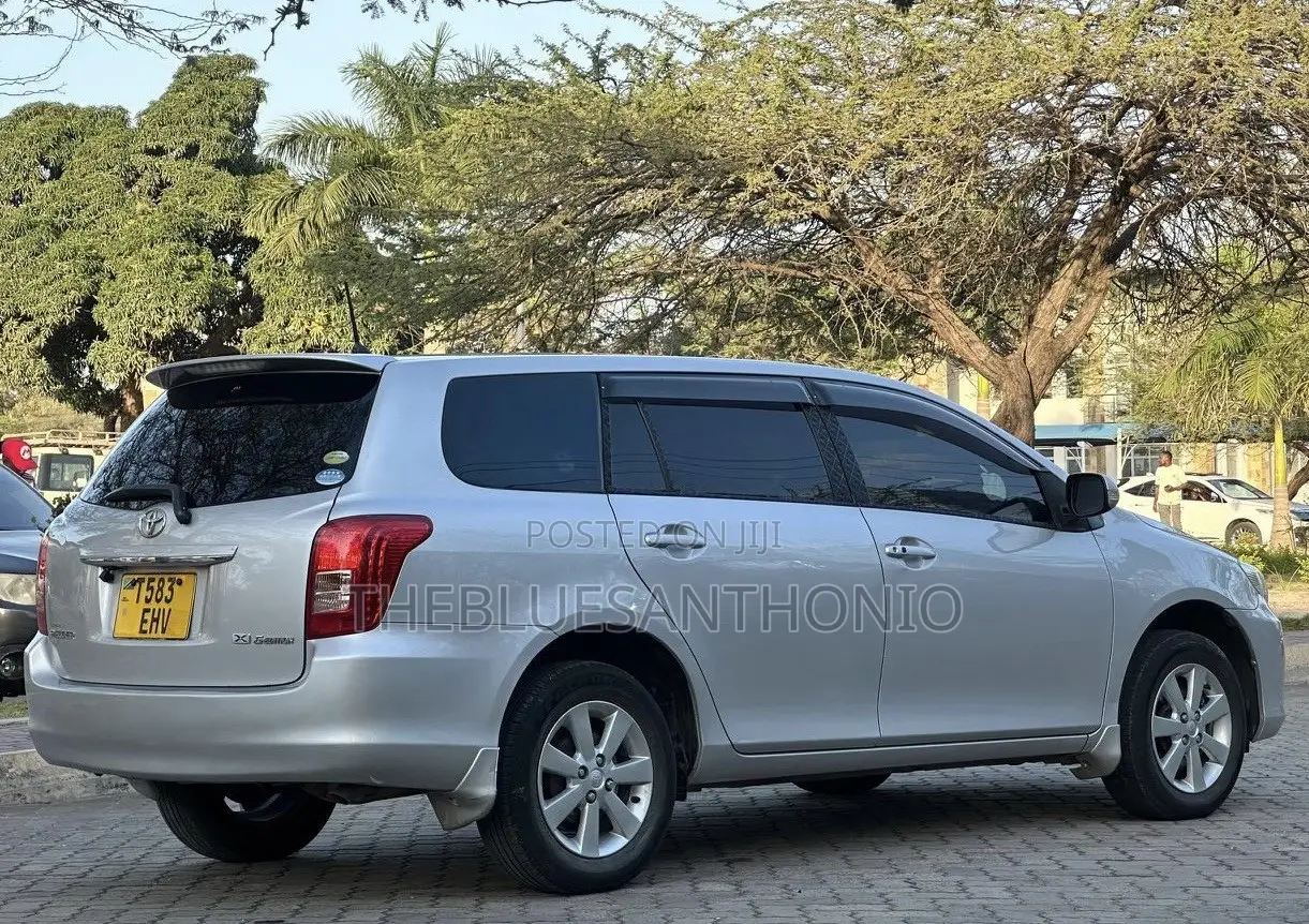 Toyota Corolla Fielder 2007 Silver