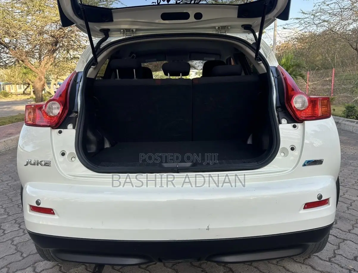 Nissan Juke 2012 Pearl