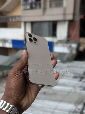 Apple iPhone 12 Pro Max 256 GB
