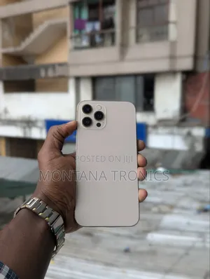 Apple iPhone 12 Pro Max 256 GB