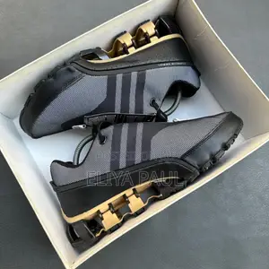 Adidas Porsche Sport Shoes
