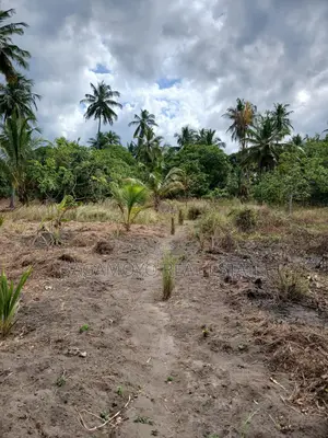 3 Acres Urban Farm for Sale at Yombo Bagamoyo