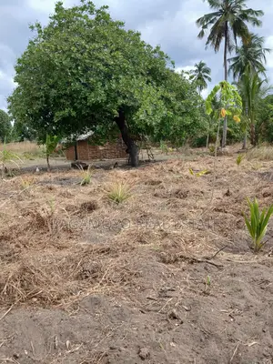 3 Acres Urban Farm for Sale at Yombo Bagamoyo