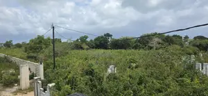 For Sale Plot 2800 Sq.M. Kendwa