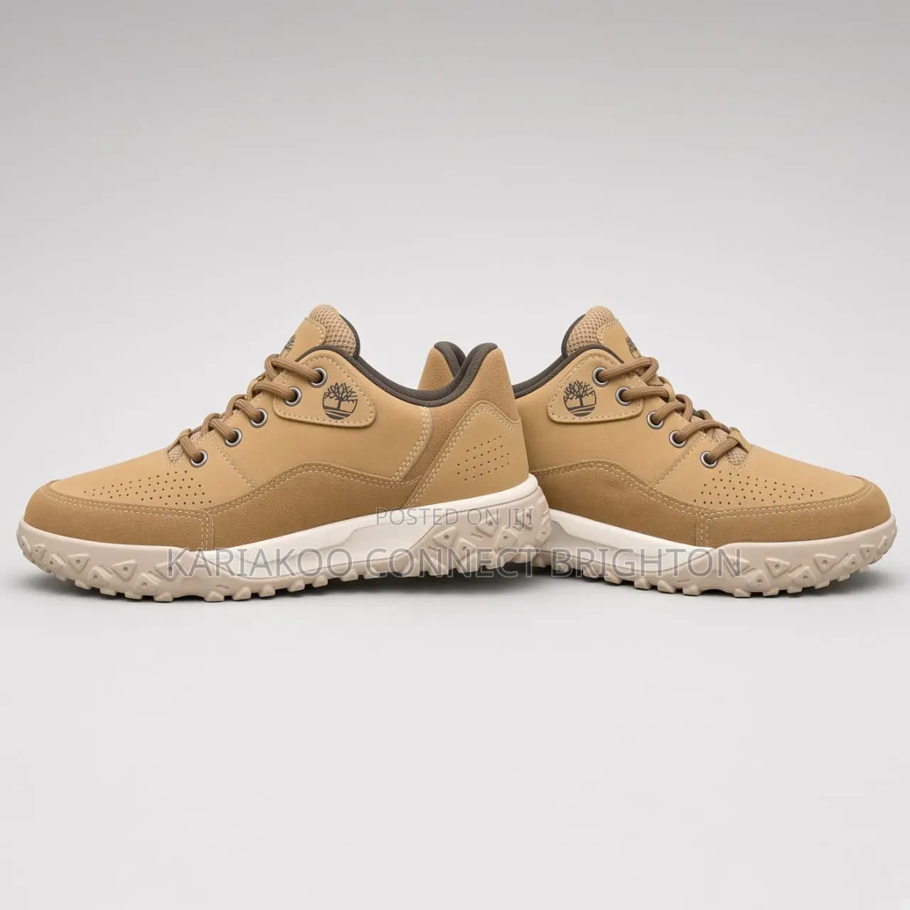 Timberland Hiking Shoe