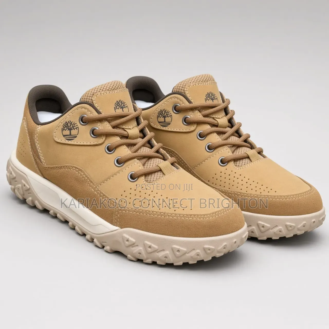 Timberland Hiking Shoe