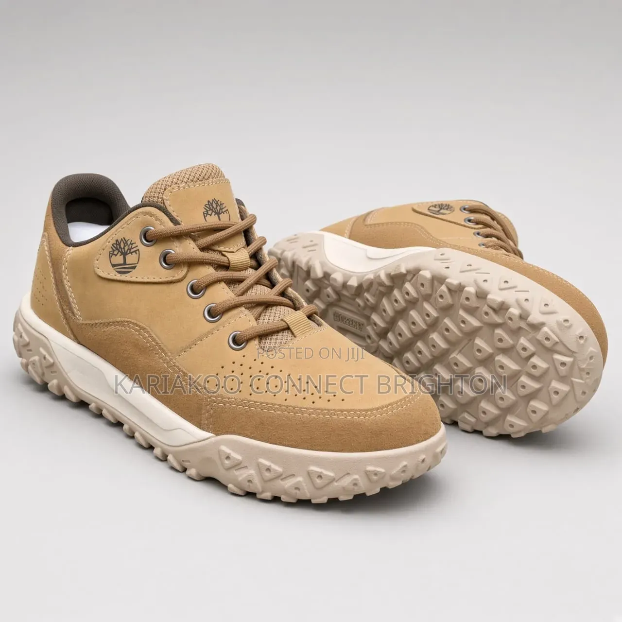 Timberland Hiking Shoe