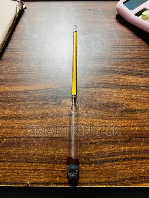 Digital Thermometer