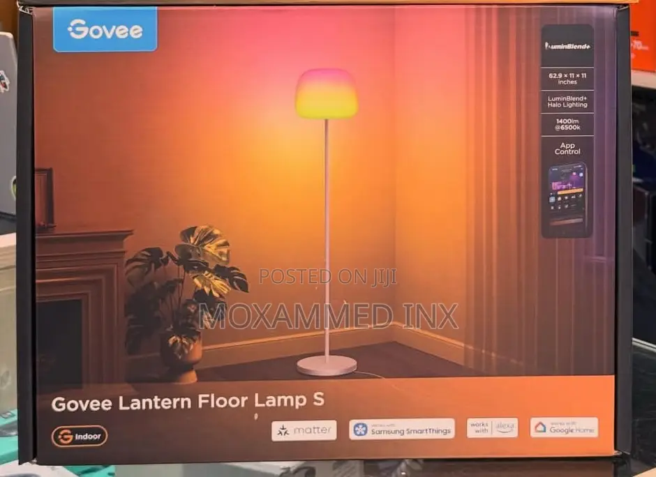 Govee Latern Floor Lamp S