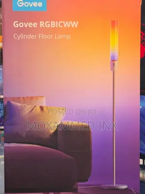 Govee Cylinder Floor Lamp