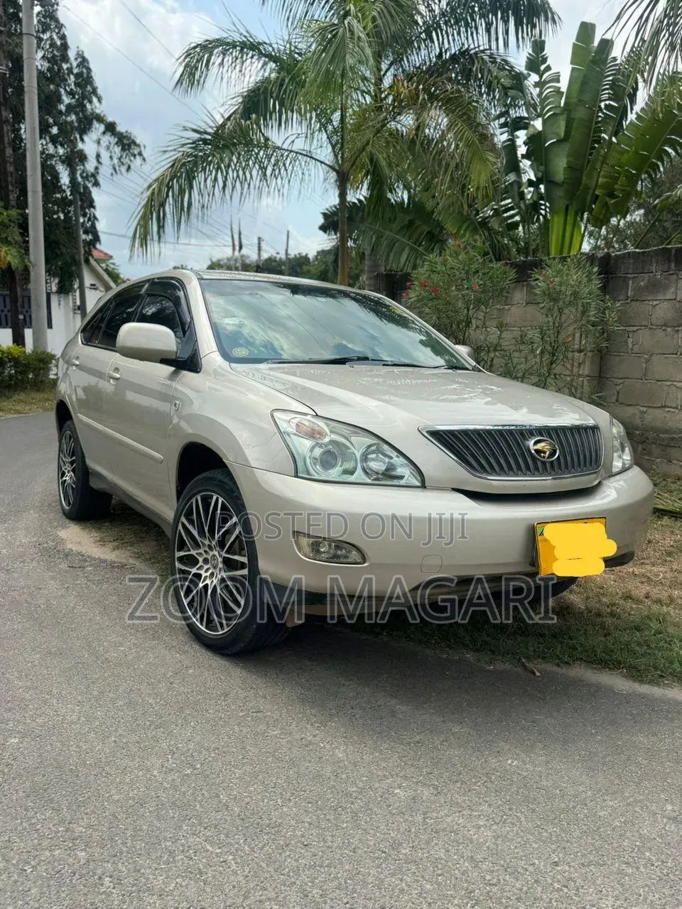 Toyota Harrier 2007 Beige