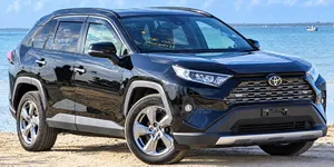 Toyota RAV4 2022 Gray