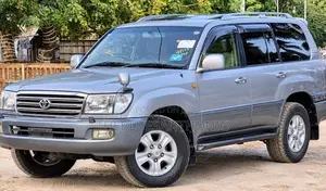 Toyota Land Cruiser 2006 Gray