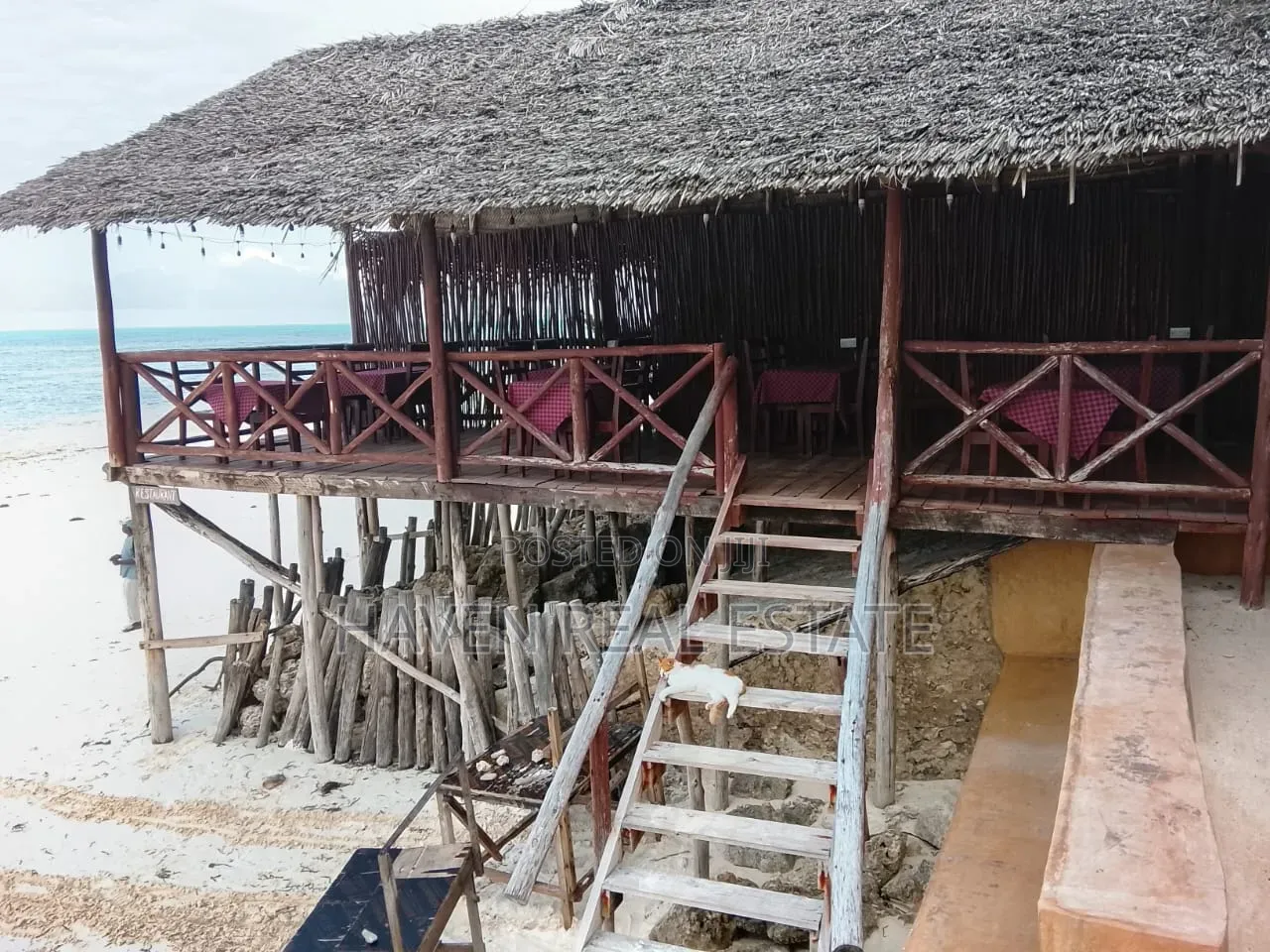 Beach Hotel for Rent at Jambiani Zanzibar