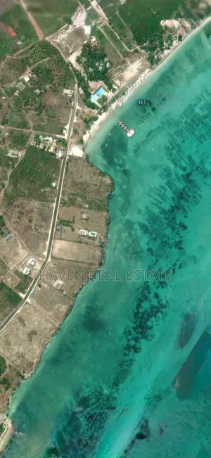 Exclusive Cliff Beach Front Land for Sale at Jambiani Zanzibar