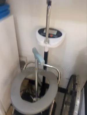 Electronic Body Scale